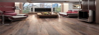 WHITE WASH OAK GOLDEN